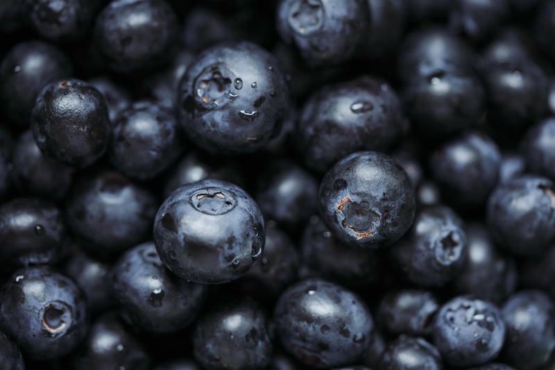 Superfood Focus